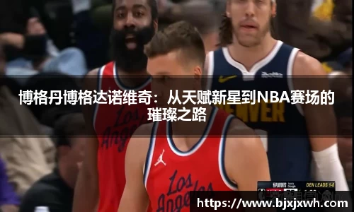 博格丹博格达诺维奇：从天赋新星到NBA赛场的璀璨之路